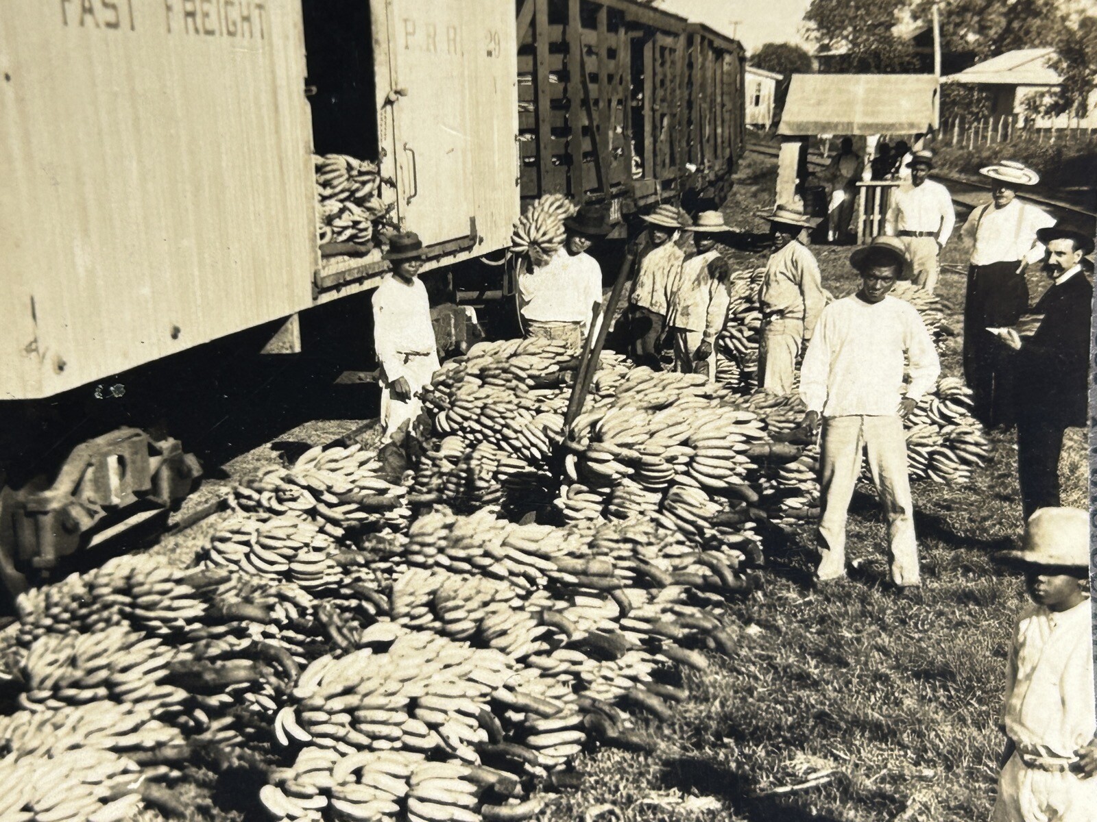 Costa Rica Opérant A Cargo Bananas 1904 Photo Stereo Vintage