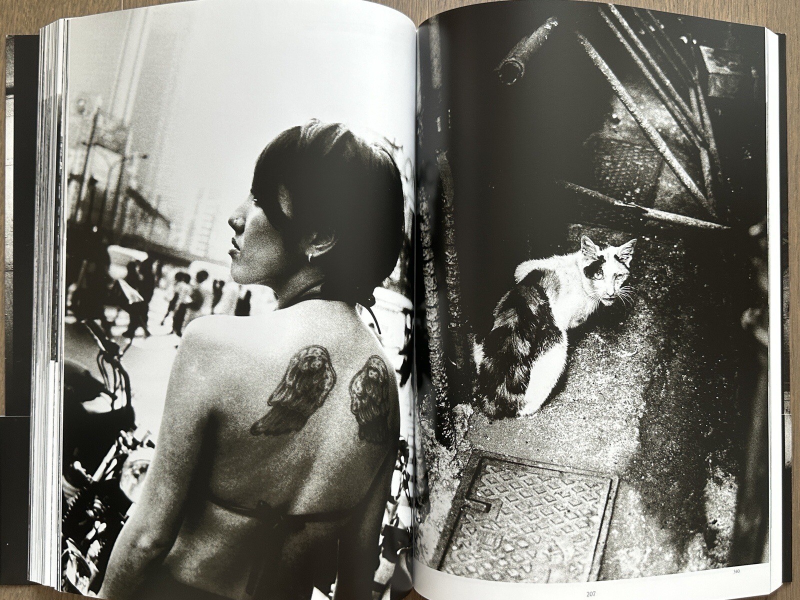🎈NEW! Daido Moriyama – Memories of Light, Shimane Art Museum (Shimane, Japan)