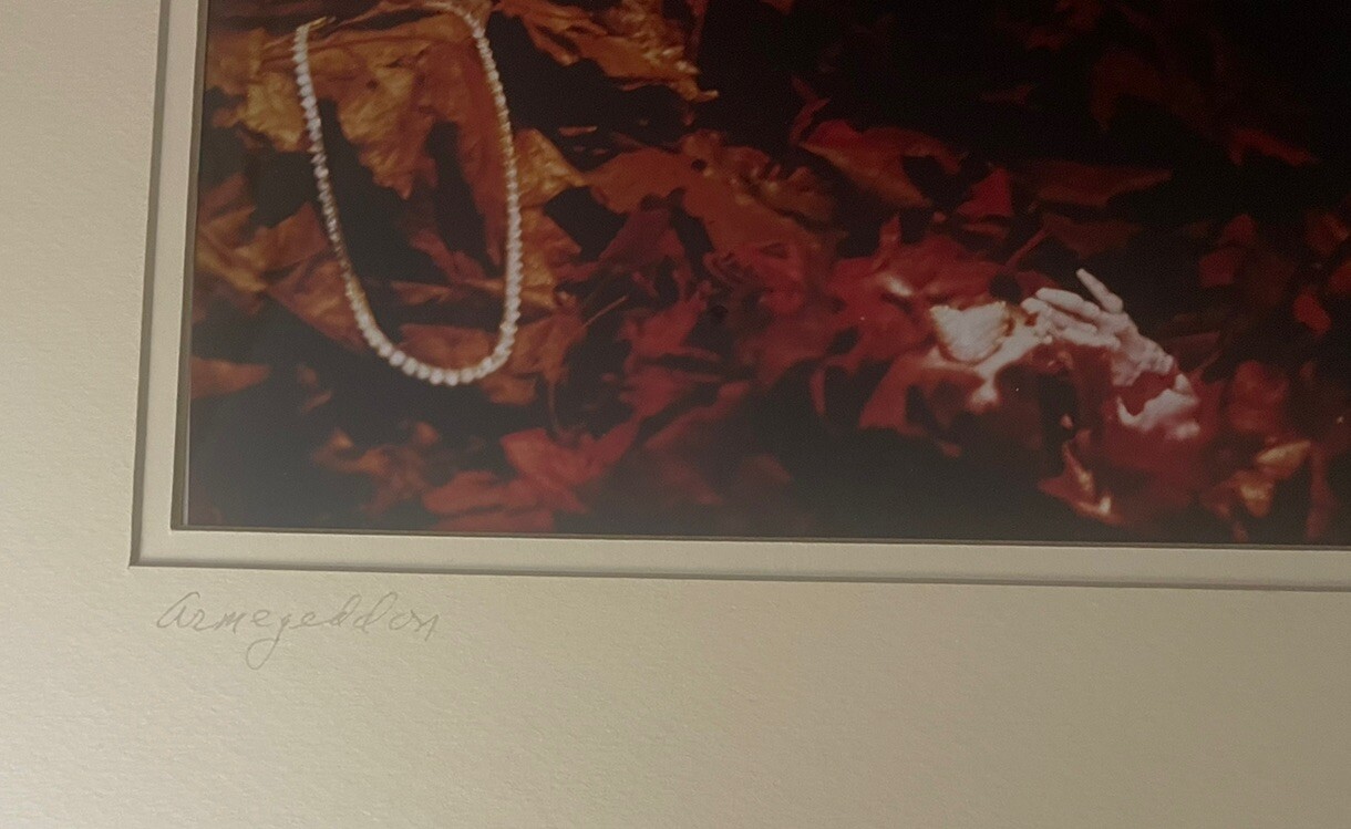 Cibachrome Photo Iriving Rubenstein Armageddon Skeleton Exhibition