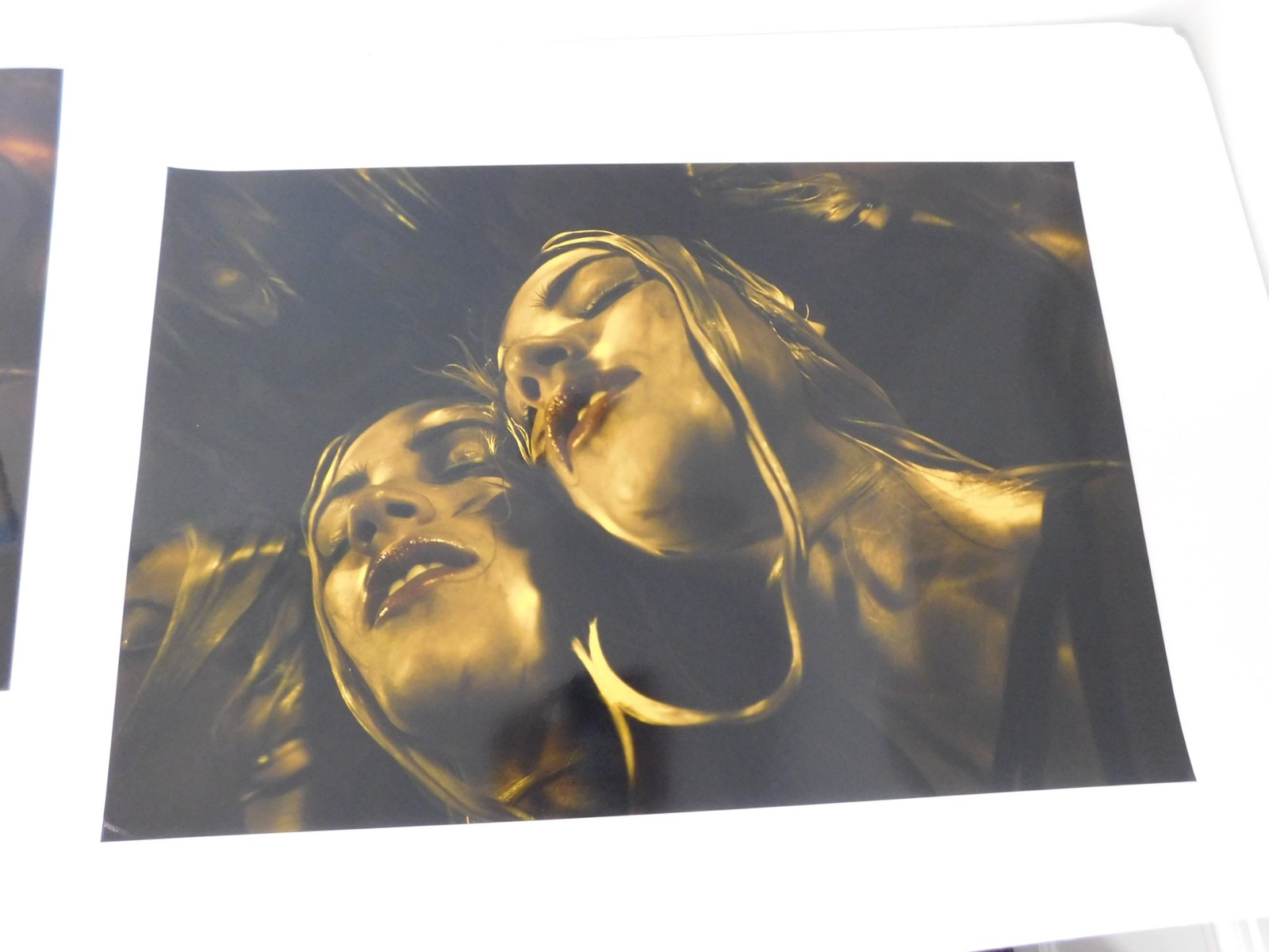 2015 Amateur Photography Vivid & Gold Gelatin Sheen Art School Project 20″ x 30″
