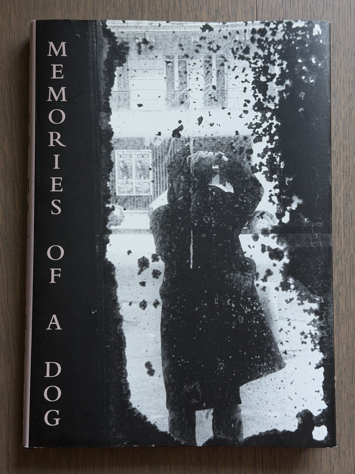 🎈Daido Moriyama – Memories of a Dog Signed & Limited Numbered Ed, English 2004