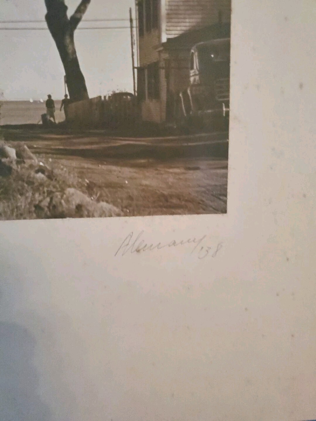 PHOTOGRAPHER JOSE ALEMANY; Original Titled Photo, “The Old Tree” Image 6.5 x 9.5