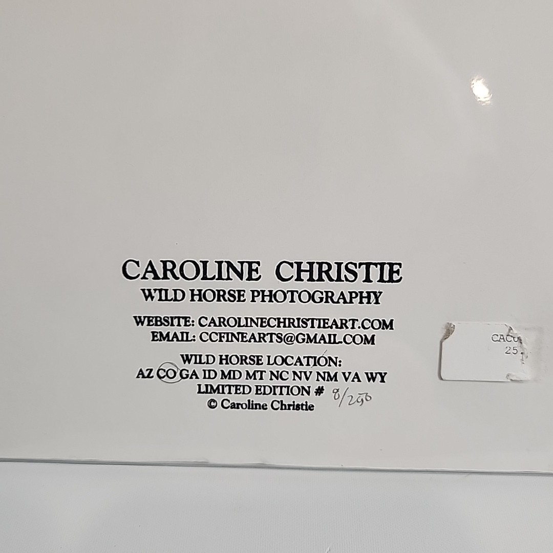 Horse Photograph Lot of 3 Equestrian Caroline Christie Signed Matted