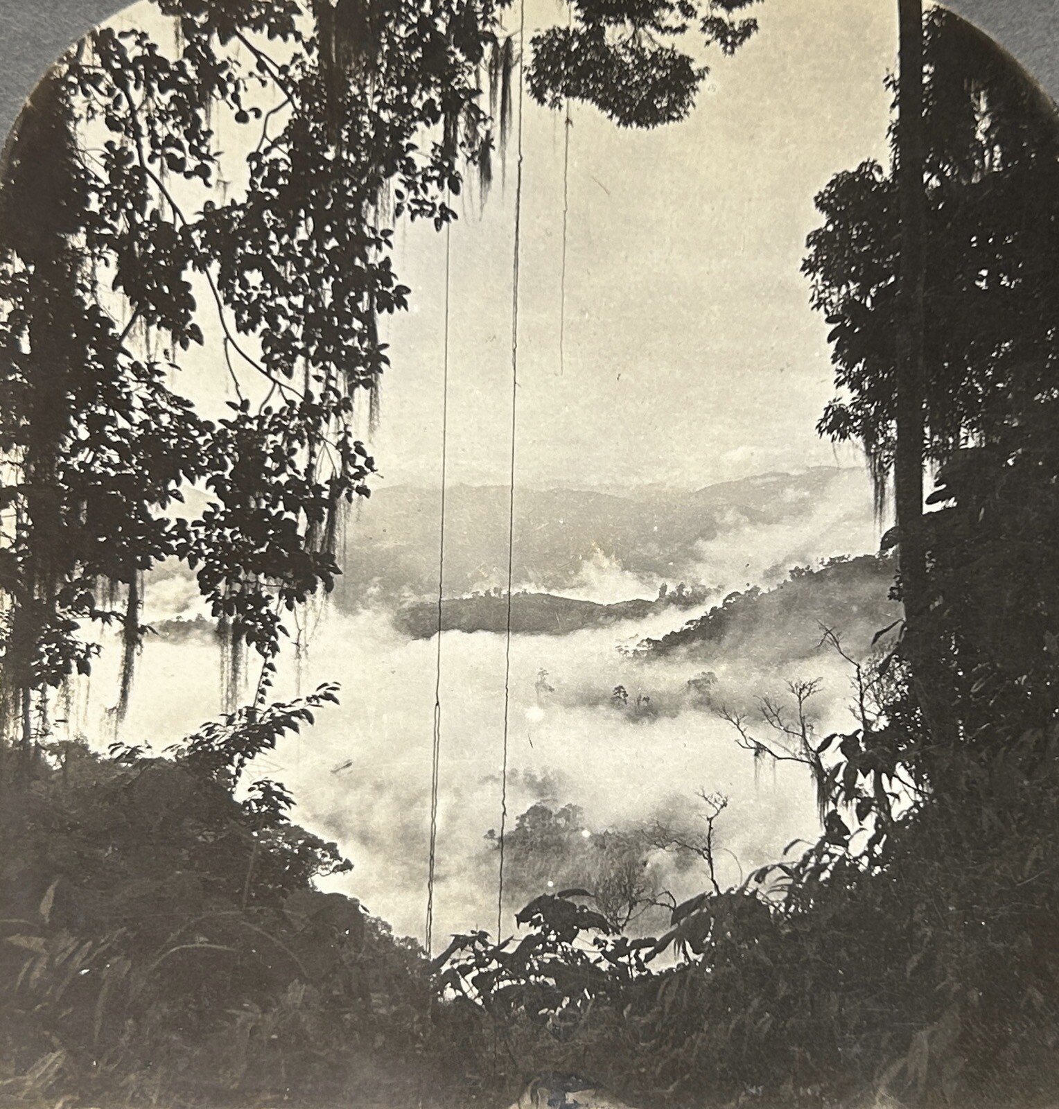 Costa Rica Tropical Landscape 1902 Stereo Vintage Photo