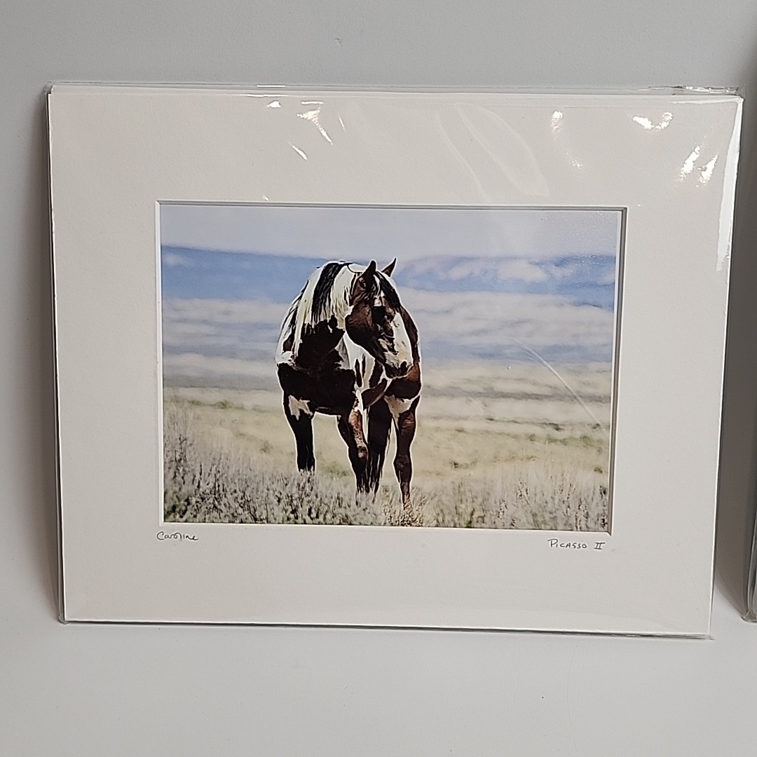 Horse Photograph Lot of 3 Equestrian Caroline Christie Signed Matted