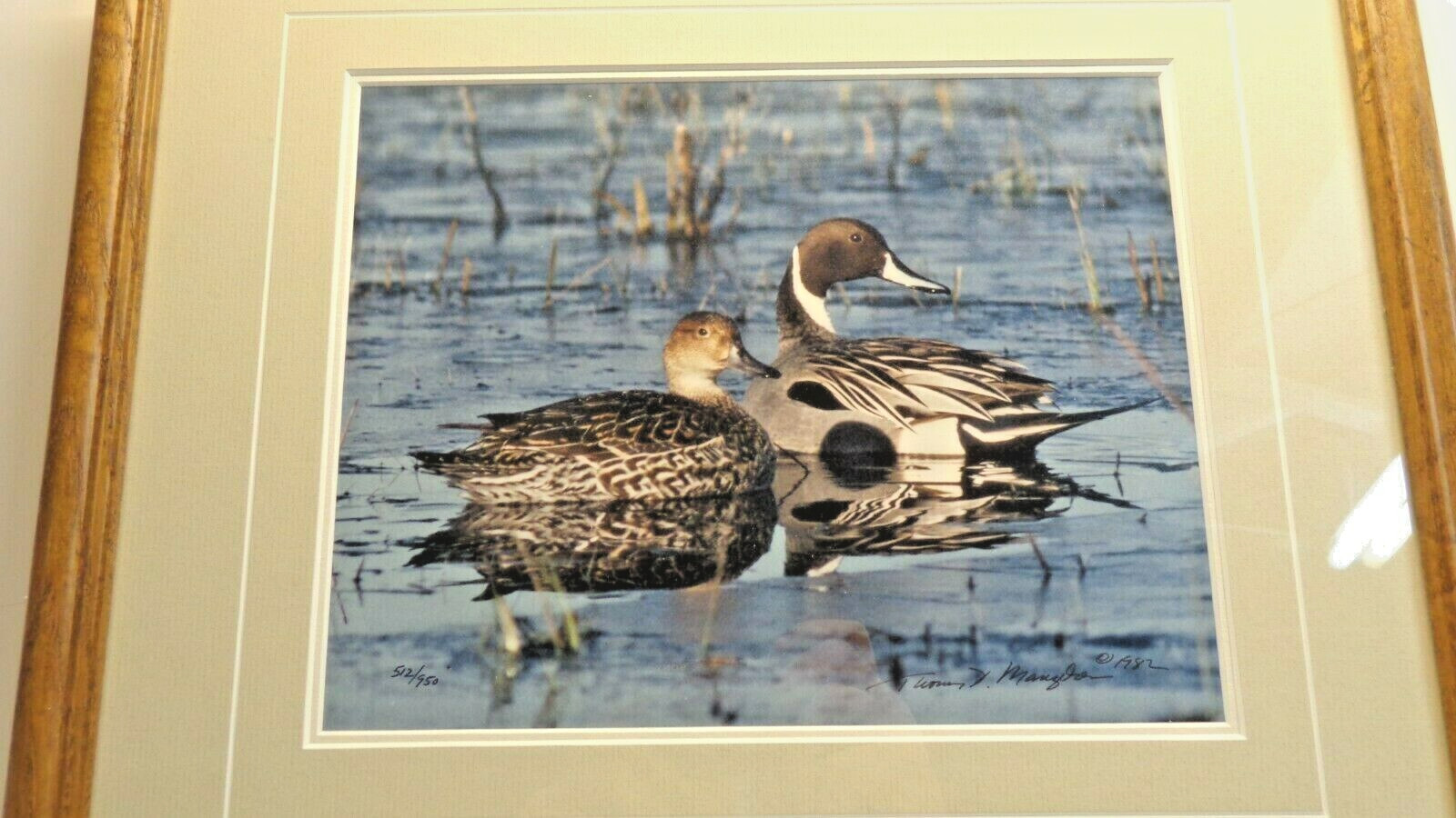 Thomas Mangelsen Signed Photo Print PINTAIL PAIR Limited Edition Framed Matted