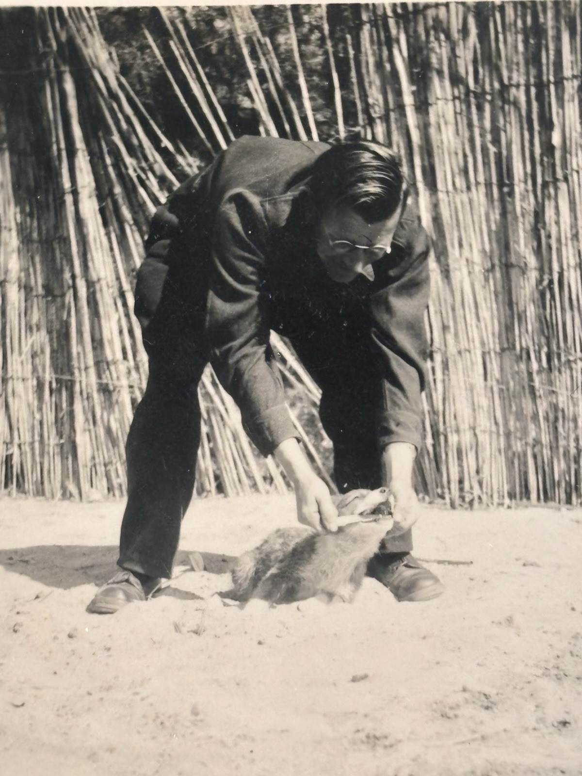 🐕 Man with Animal Outdoors, Circa 1940/50s, Original Photo 6×9 cm, Velox