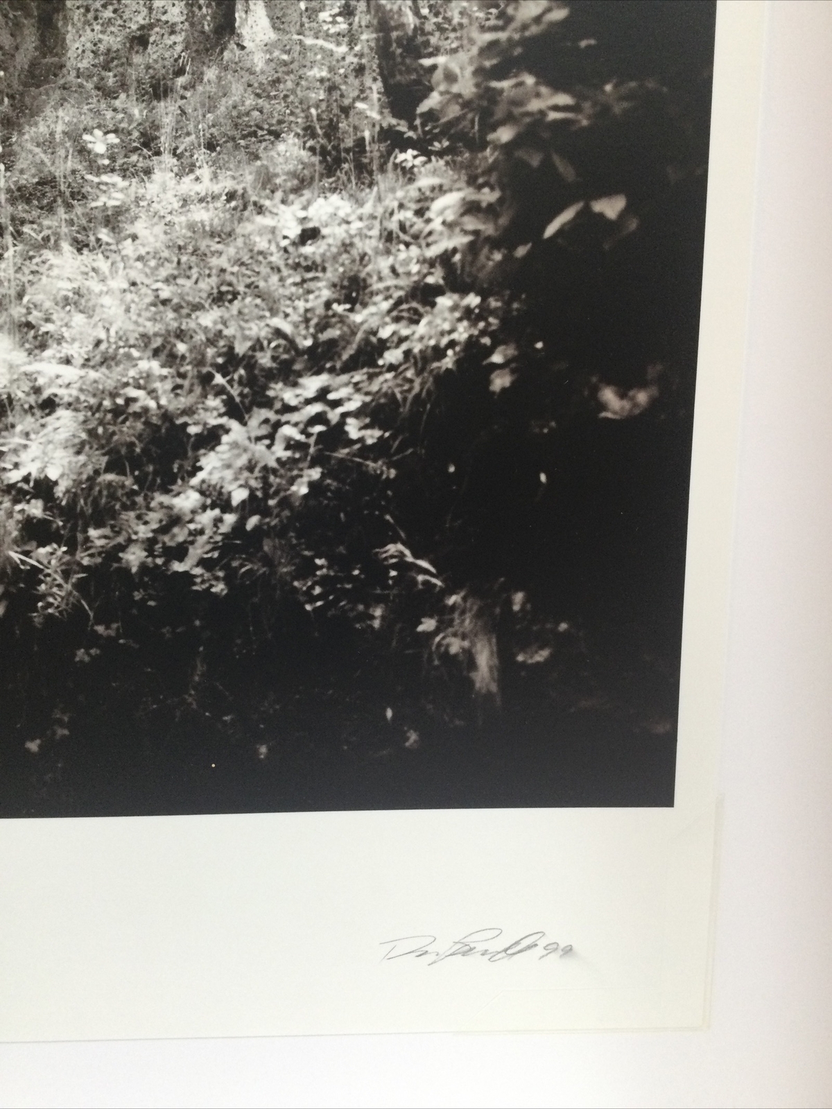 Dan Powell Original Silver Gelatin Photo (Ruins Savona, Italy) 19 x 16, 1999