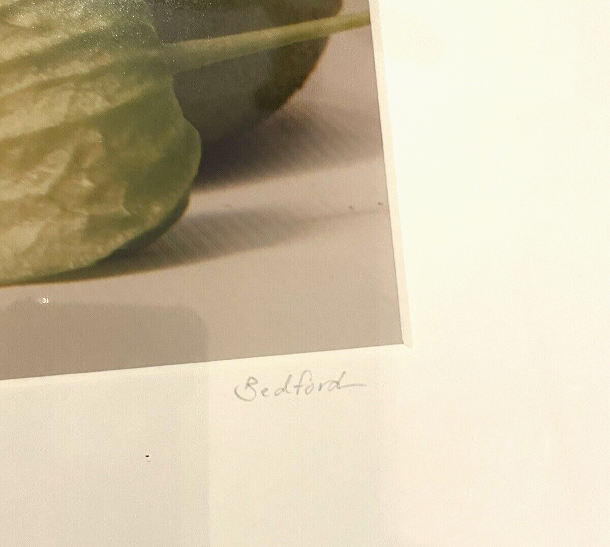 Jill Bedford Photography: Apple (2002), Signed, Archival Quality 28in X 22in