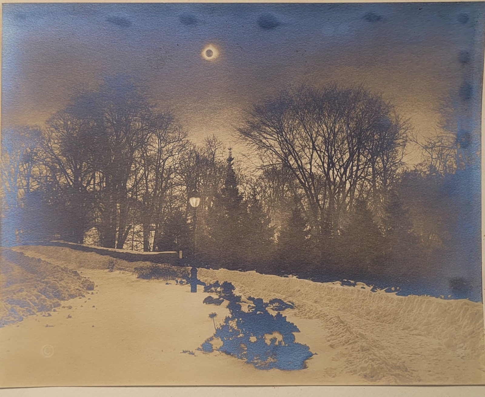 Adolf Fassbender Total Sun Eclipse Bronx Park NYC 1925 Photo