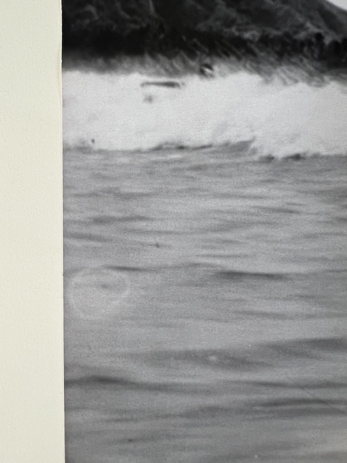 Josef Muench B/W Gelatin Silver Photograph Hawaiian surfer at Waikiki Beach