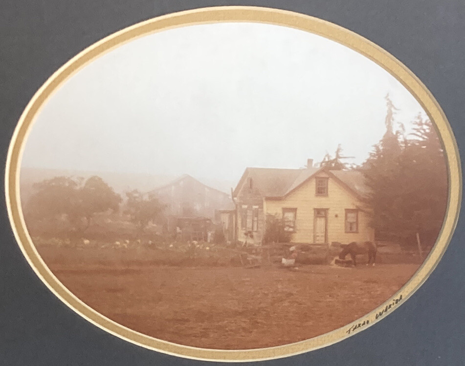 Takao Wakida California Countryside Scene Original Photography Framed Photo EUC!