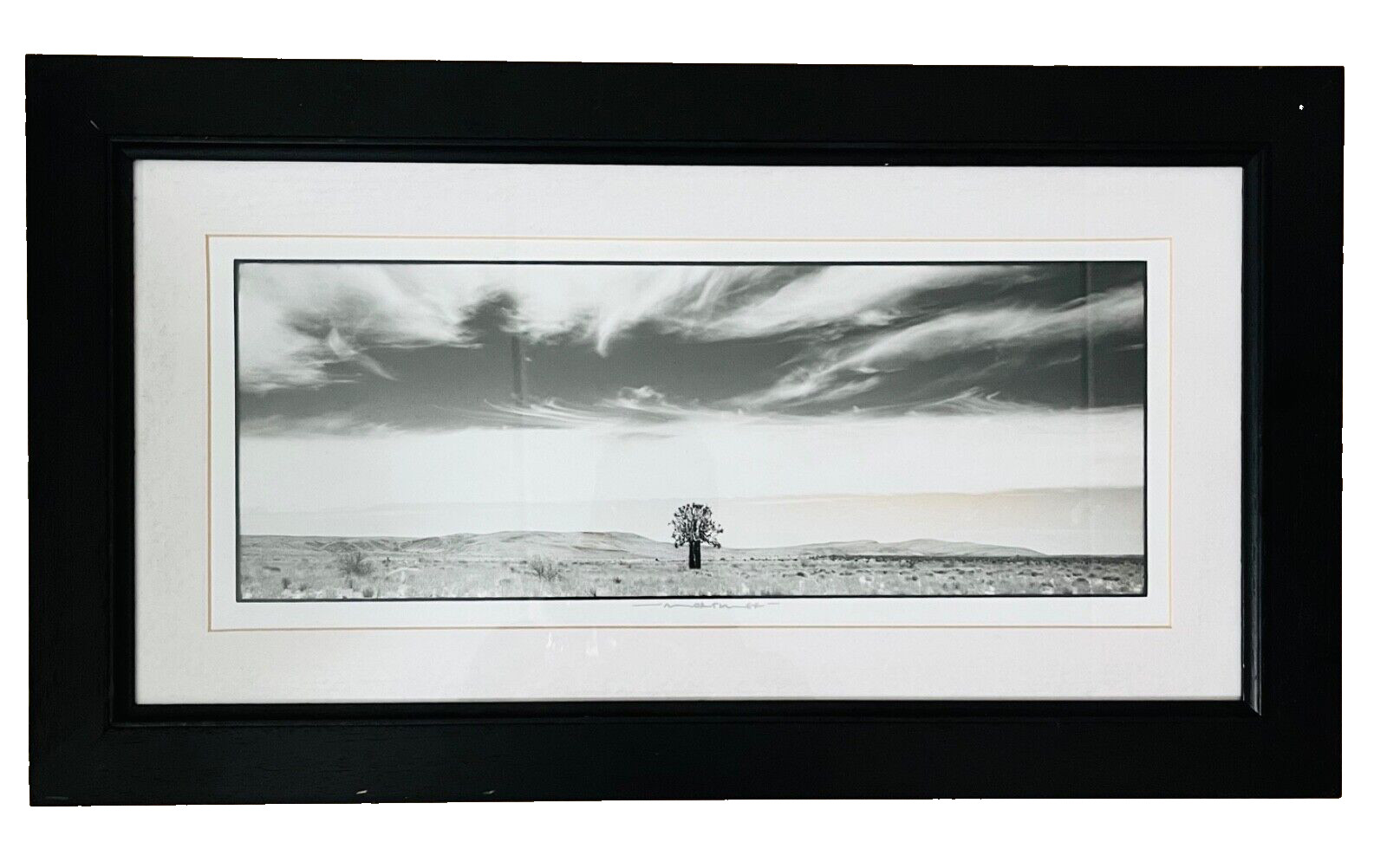 Original Signed Photography By Bruce Mortimer New Zealand South Africa