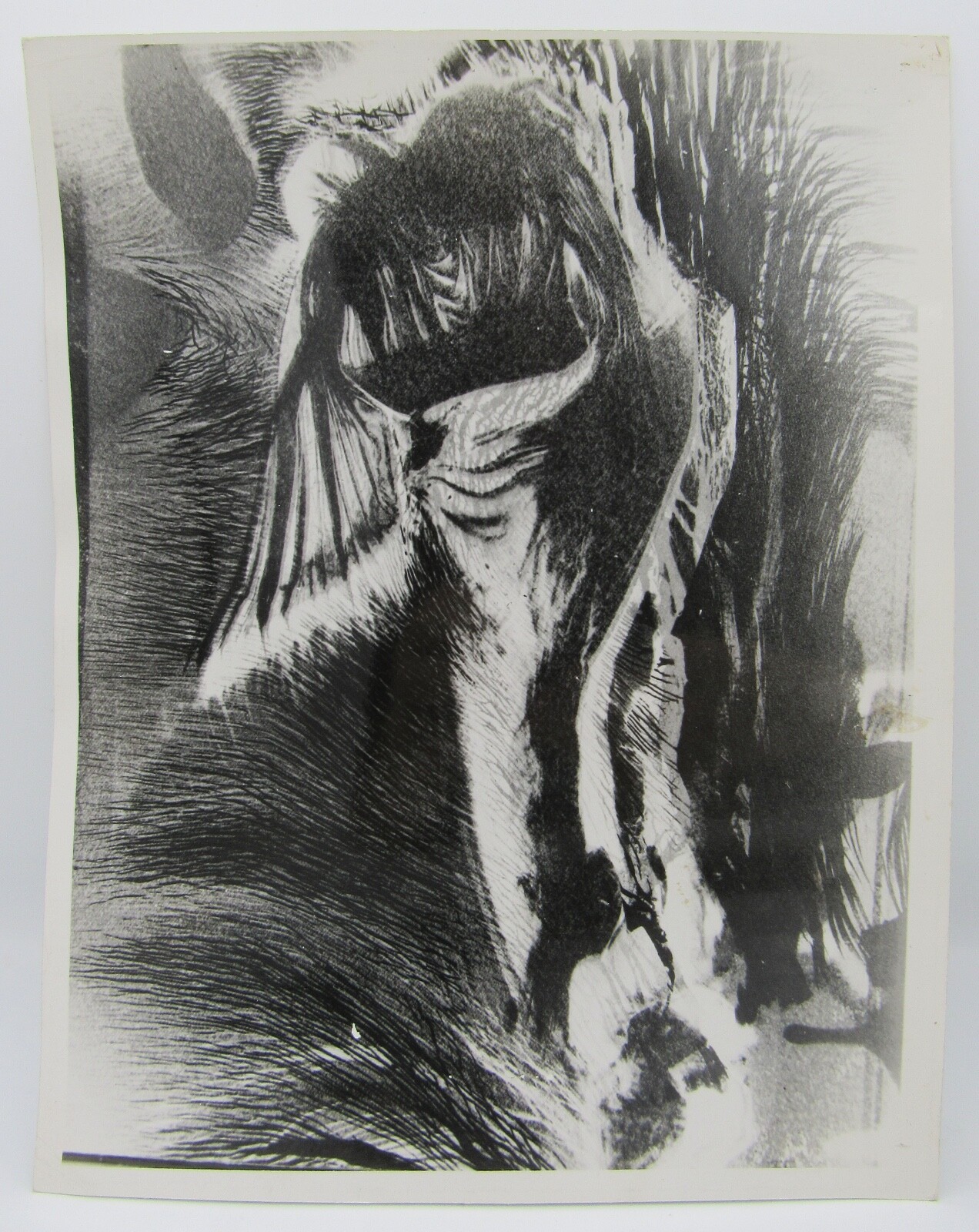 Vintage James Fitzsimmons silver gelatin photograph abstract modernist 8×10″
