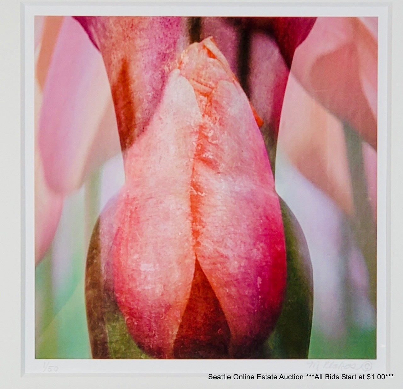 Marie Plakos Abstract Tulip Photograph Modern Botanical Wall Art