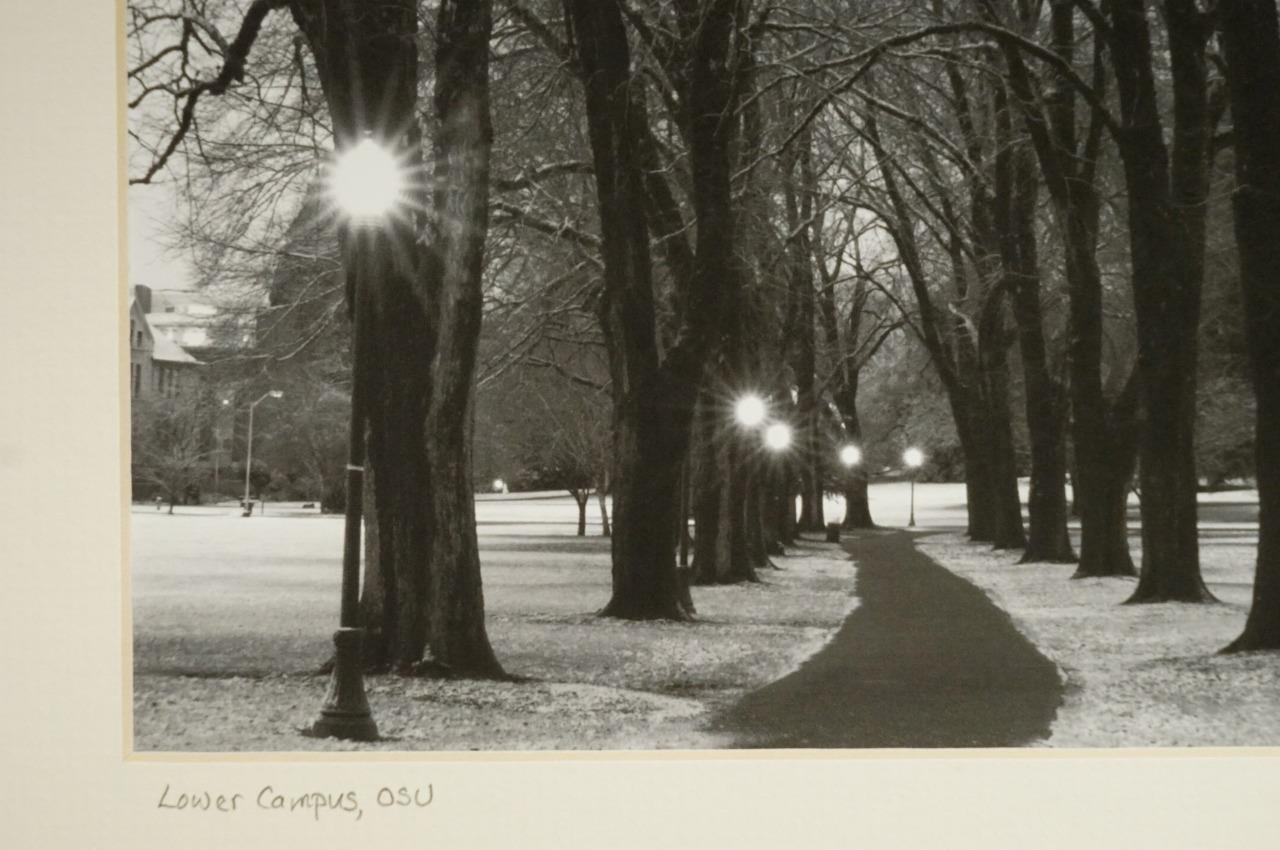 Tom Adams Photography OSU Oregon State University Lower Campus Matte Photo 11X14