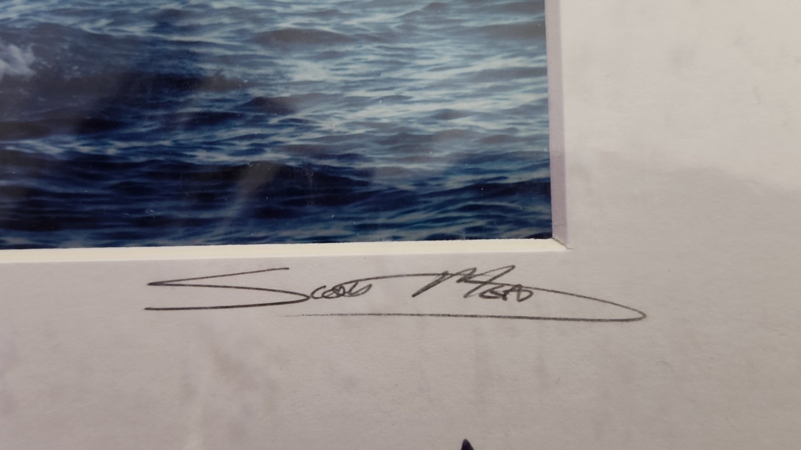 Scott Mead Signed Photography Print Up For A View Fine Art Limited Edition