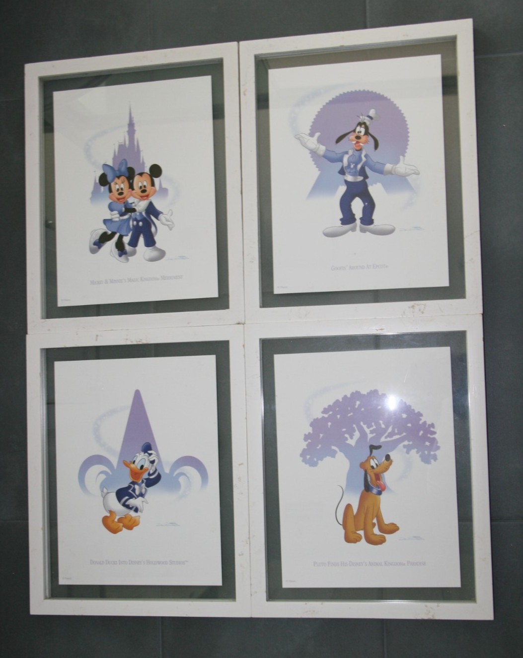 Disney Pluto Animal Kingdom Donald Duck Hollywood Studios Goofy Epcot Lith Set