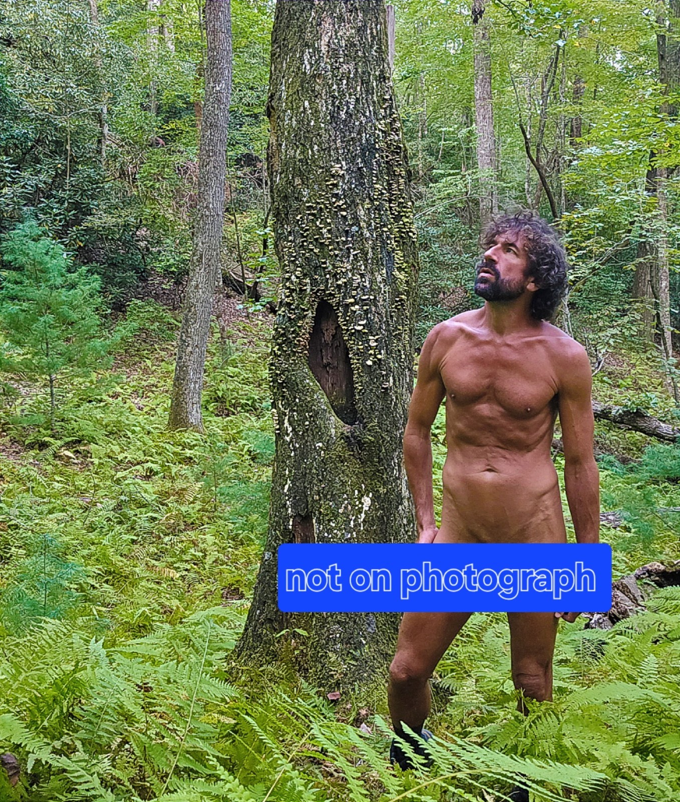 Fine art nude of man gay interest model outdoors 4 photographs 4×6 glossy