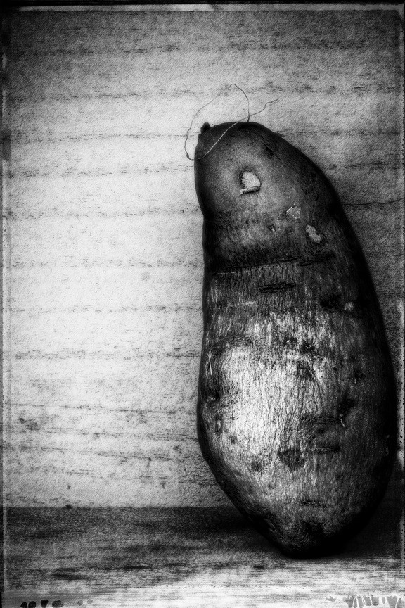 Fine Art Photography, Black & White print, 8×12, Sweet Potato in a Box