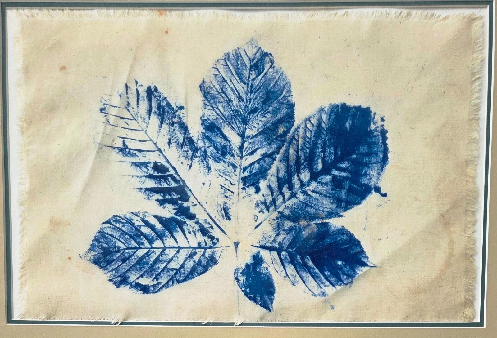 Framed Large-Format Cyanotype Sun Picture on Cloth – Poplar Leaf