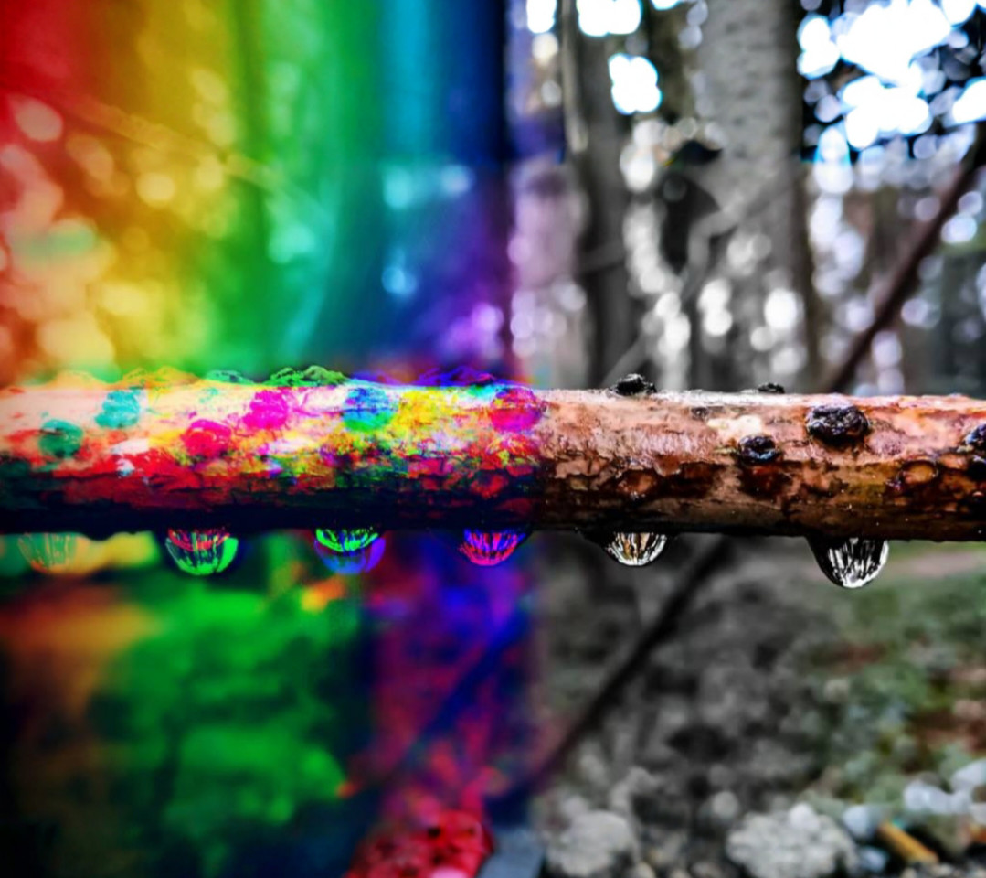 8 different Raindrops Photography, glossy, printed, 8×10 in, one piece