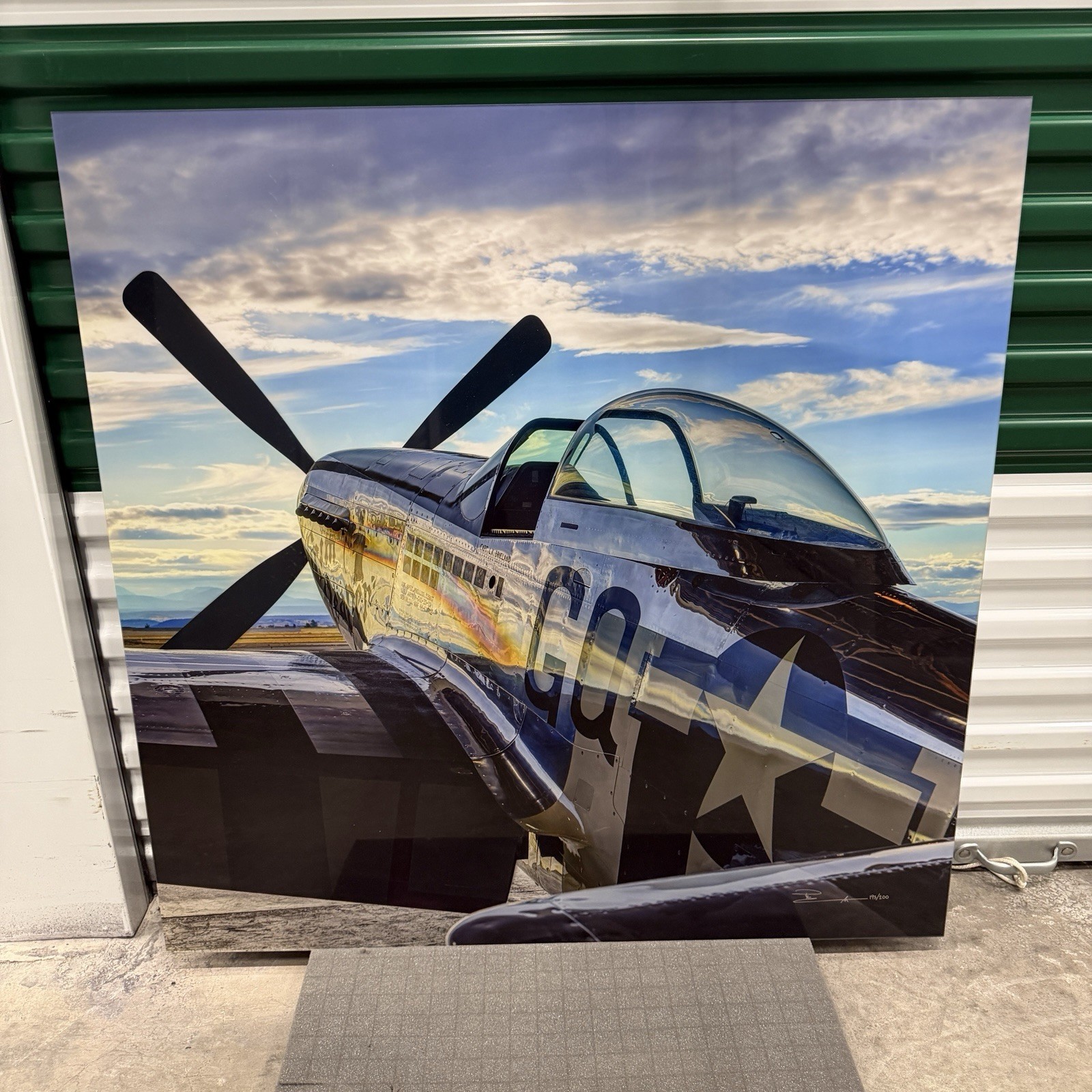 Peter Lik “Mustang” Airplane Aviation 1M Picture with COA