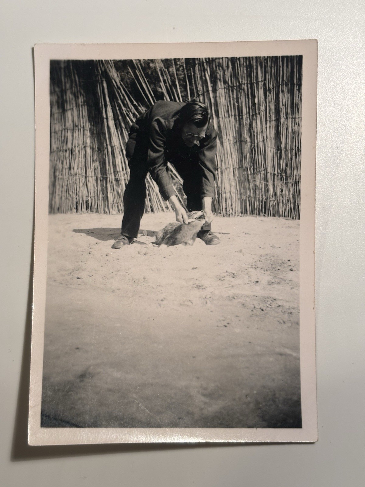 🐕 Man with Animal Outdoors, Circa 1940/50s, Original Photo 6×9 cm, Velox