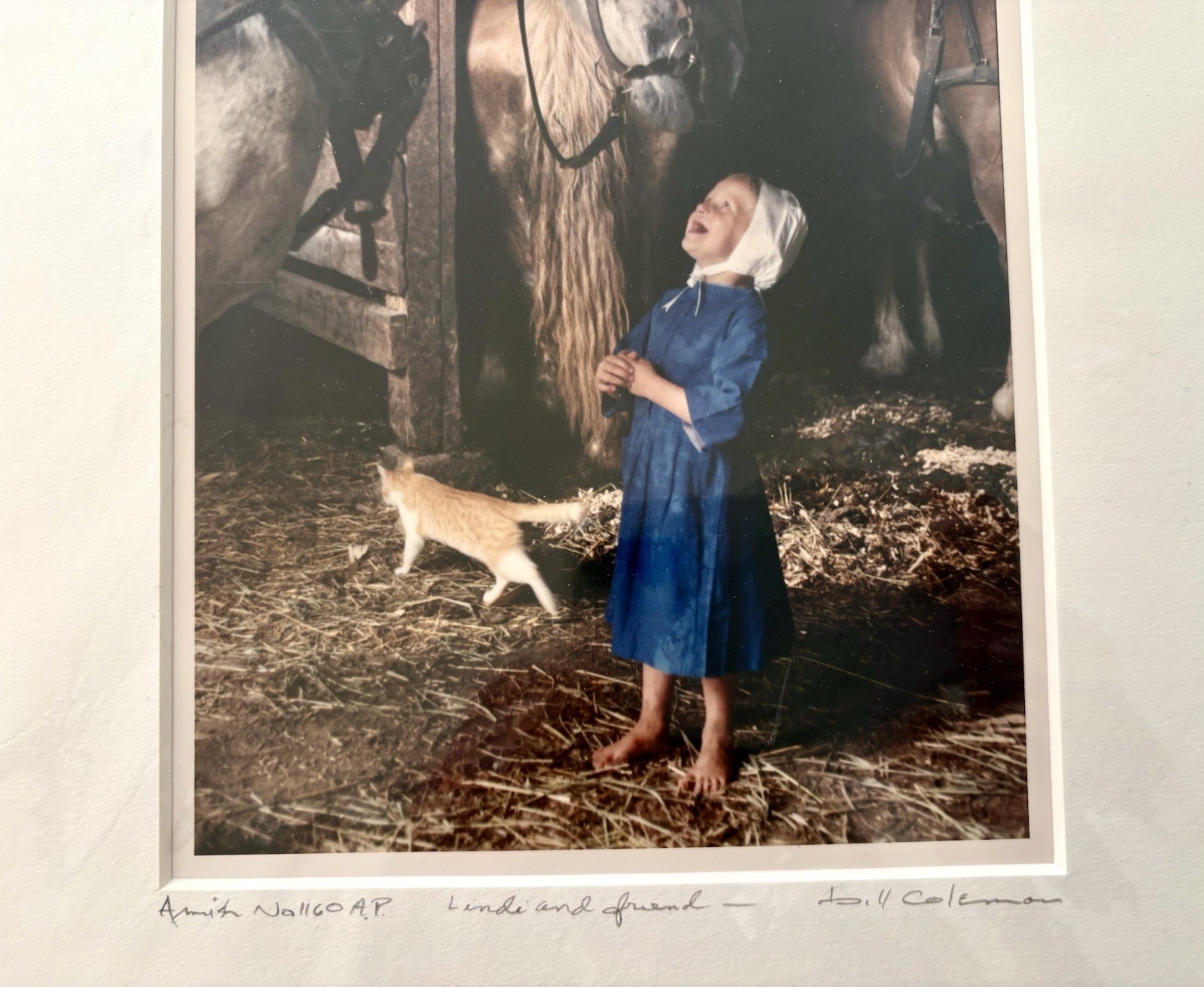 Bill Coleman Signed Photo “Amish No 1160 AP Lindi & Friend” Girl w Horses & Cat
