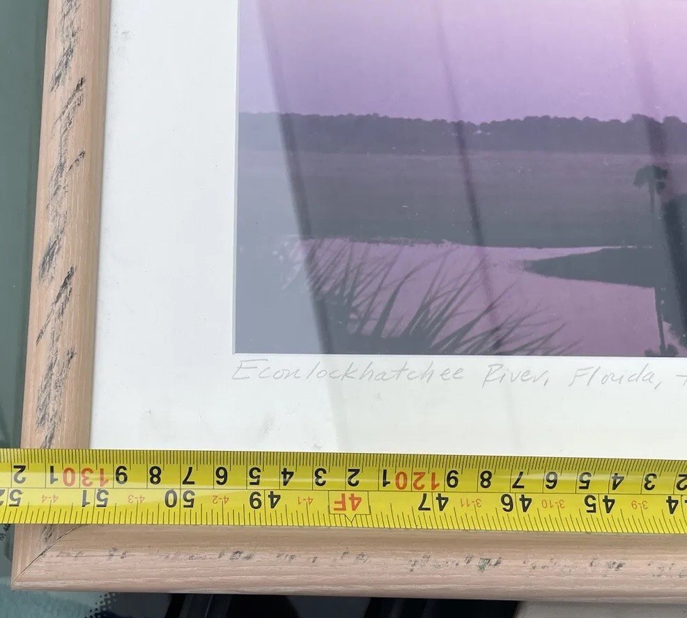 Panoramic Framed ECON Top Econlockhatchee River Florida Steve Vaughn 52:11’