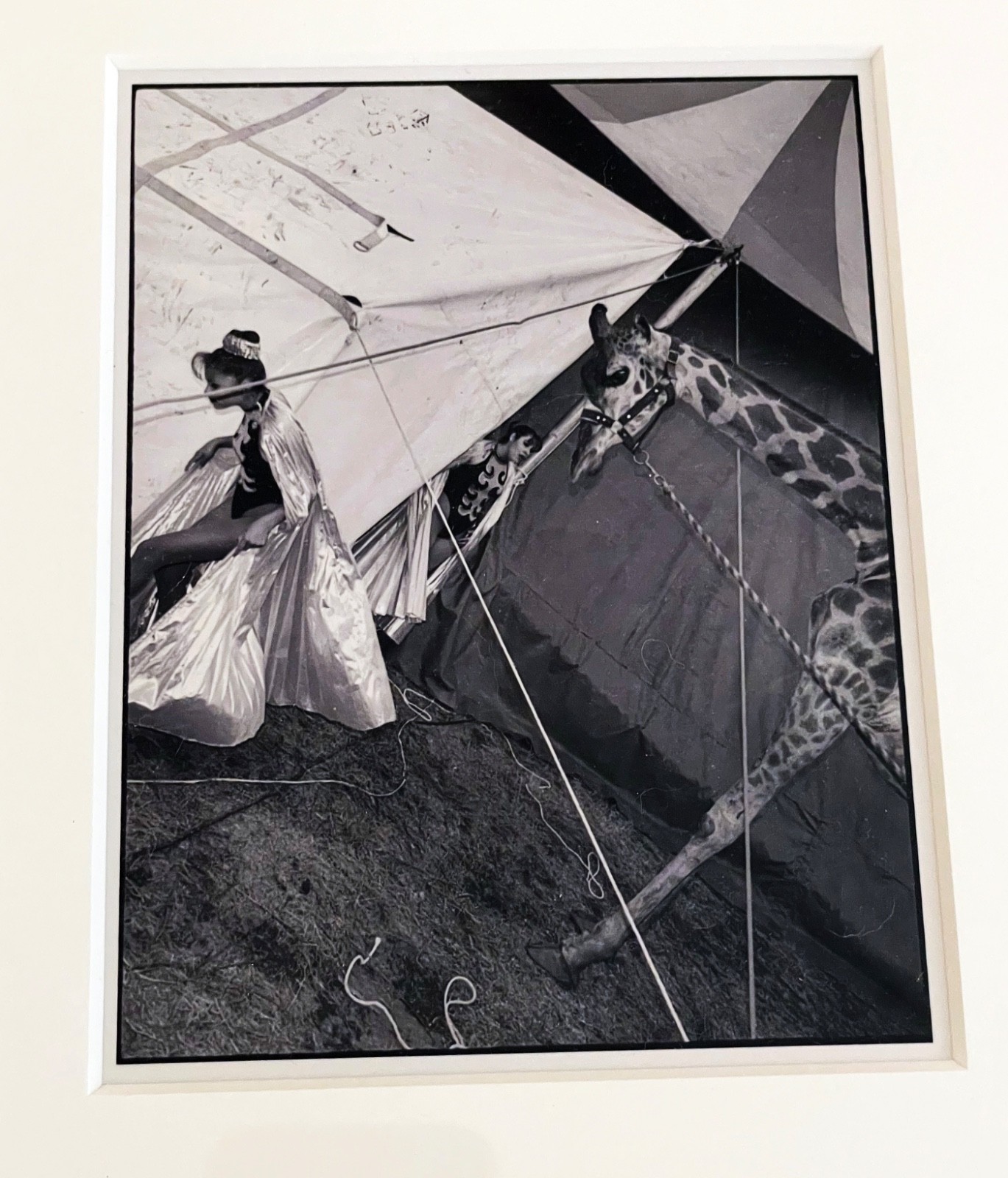 Estate Stamped MAGNUM SQUARE PRINT Mary Ellen Mark “Madona the Giraffe” 1998