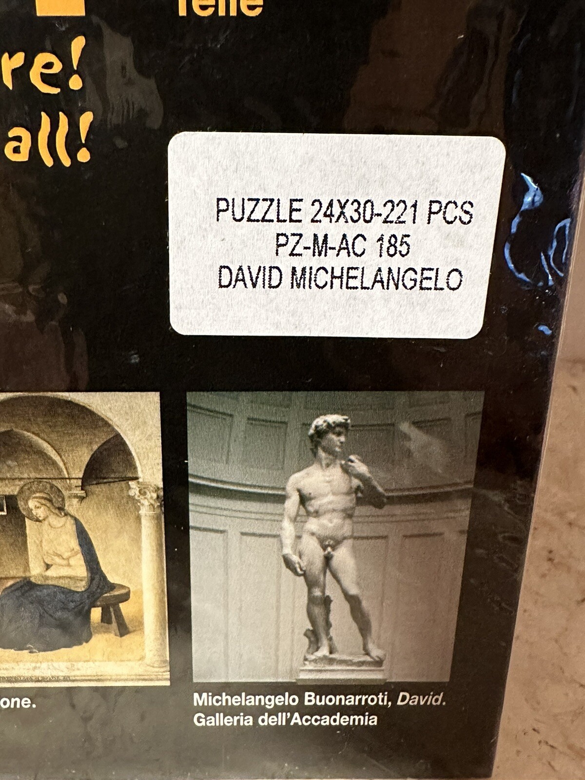 ACADEMY Florence, Italy – Michelangelo DAVID, Original 221pc Puzzle From Museum