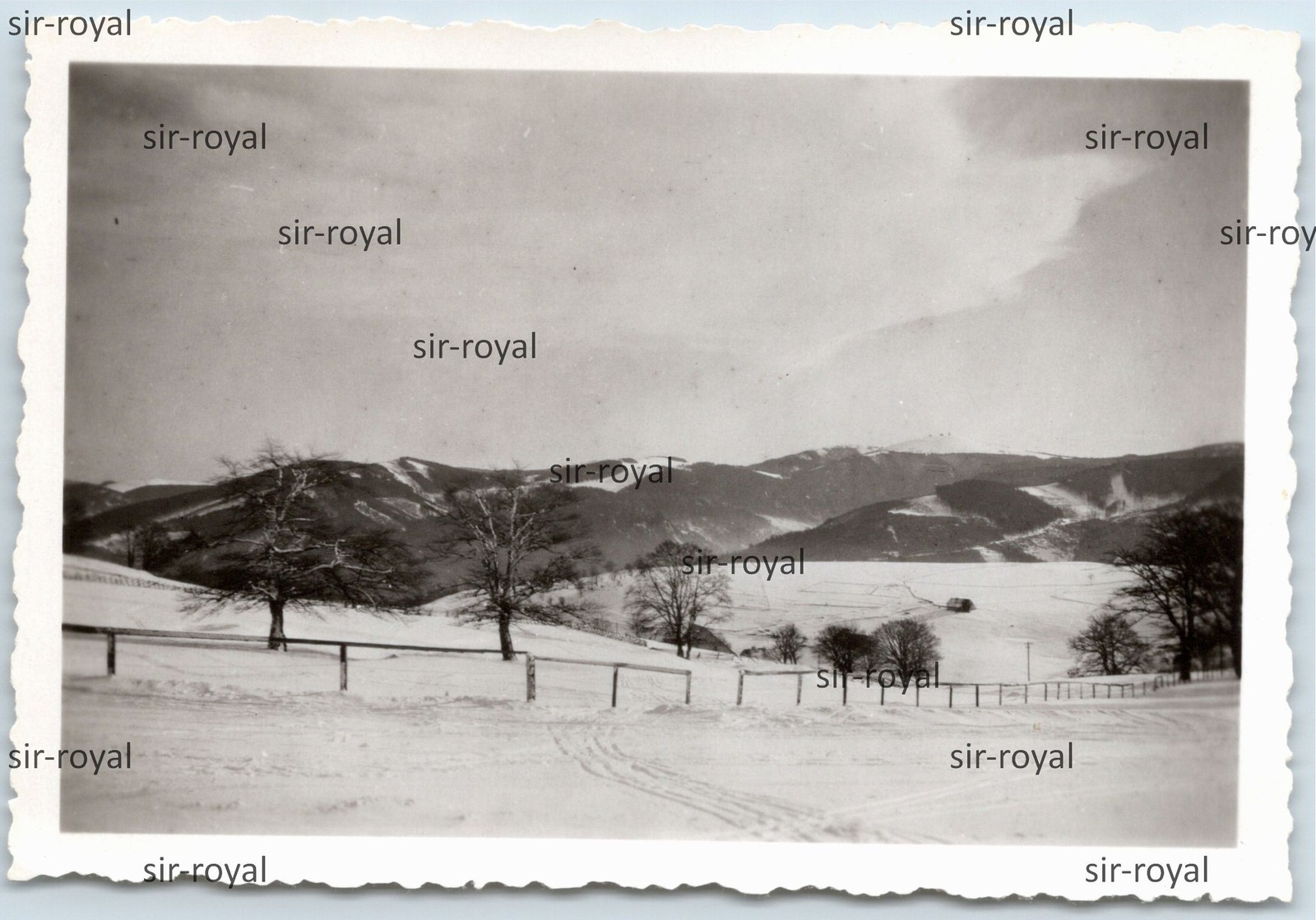 Landscape on Schauinsland Mountain in the Black Forest around 1940 – Photo 9x6cm