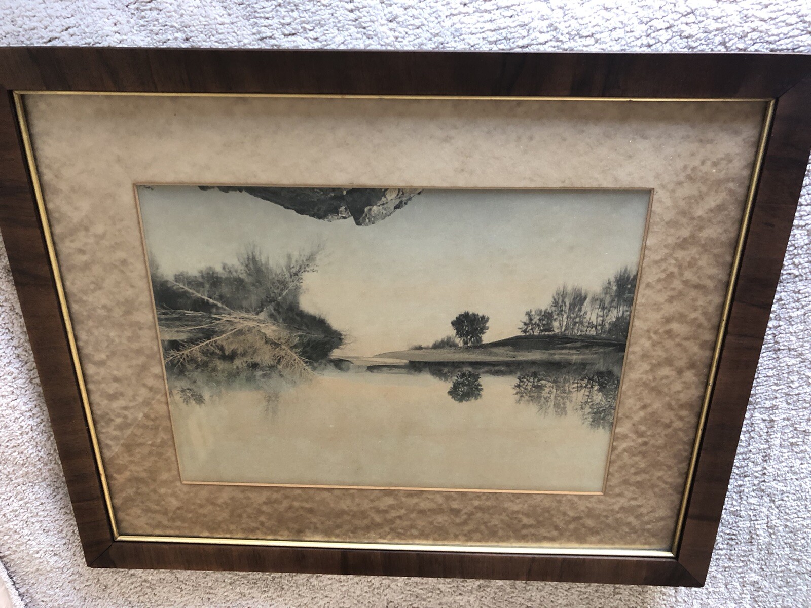 Antique Art Photograph Circa EARLY 20TH Century Tinted