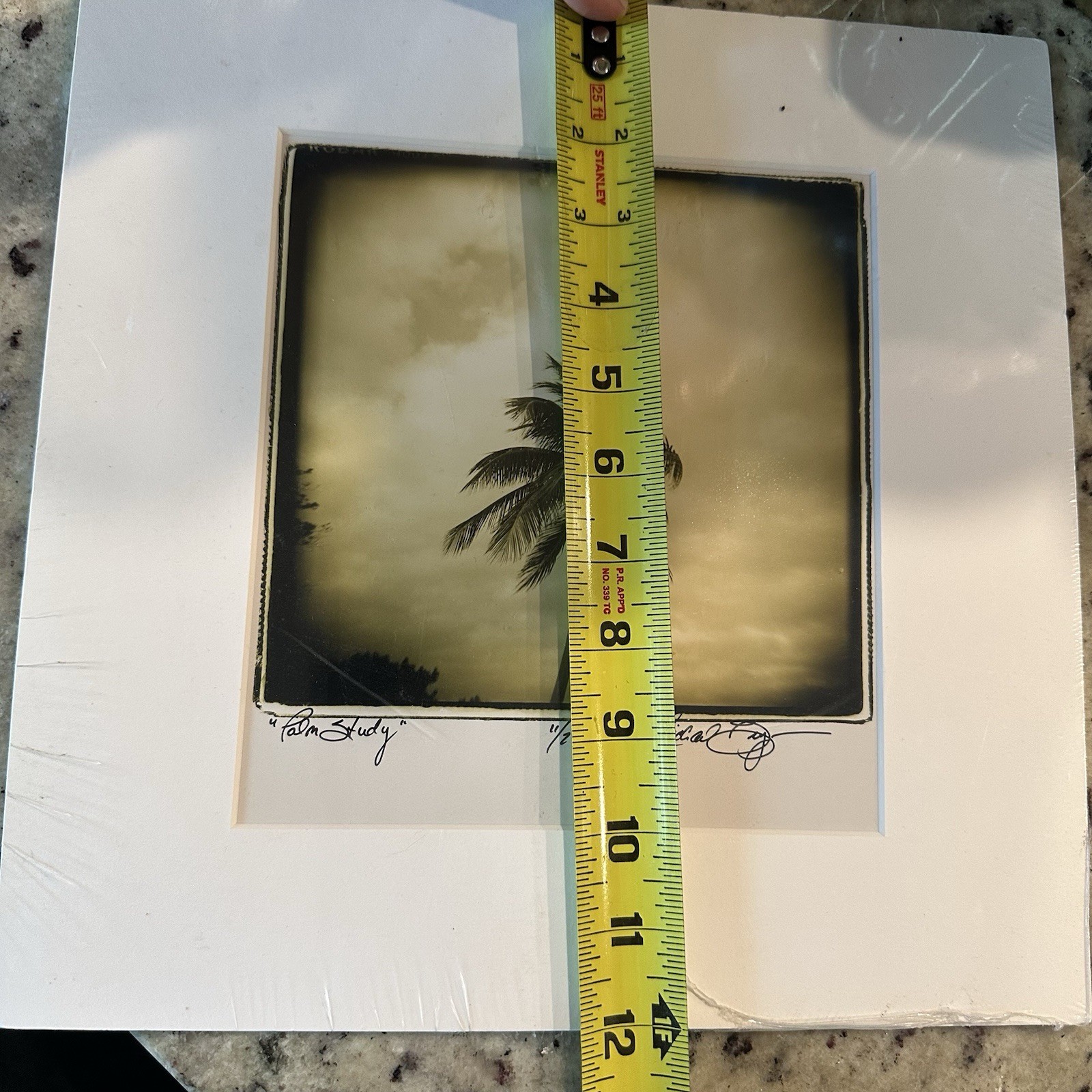 Limited edition sepia photographic print titled Palm Study by Michael Bryant