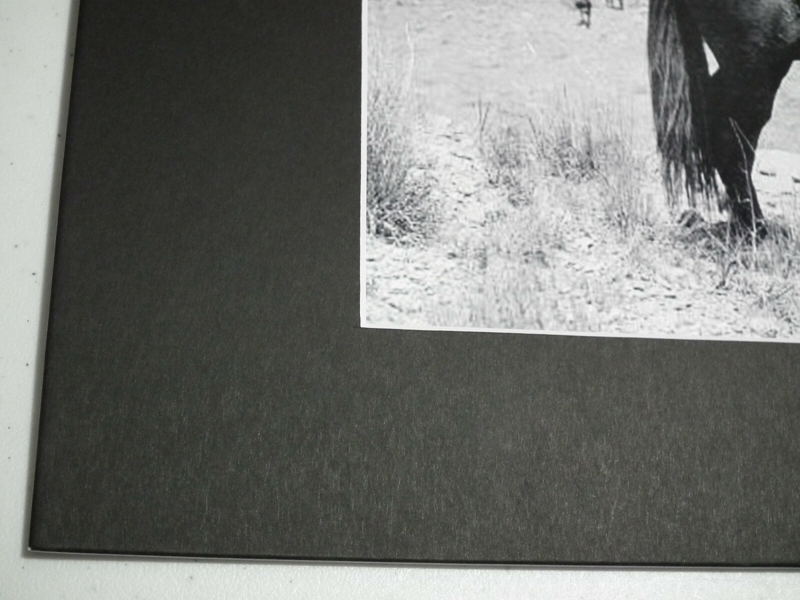 8X10 VINTAGE REPRO Cowboy Photo Mounted&Matted 11X14 READY TO FRAME