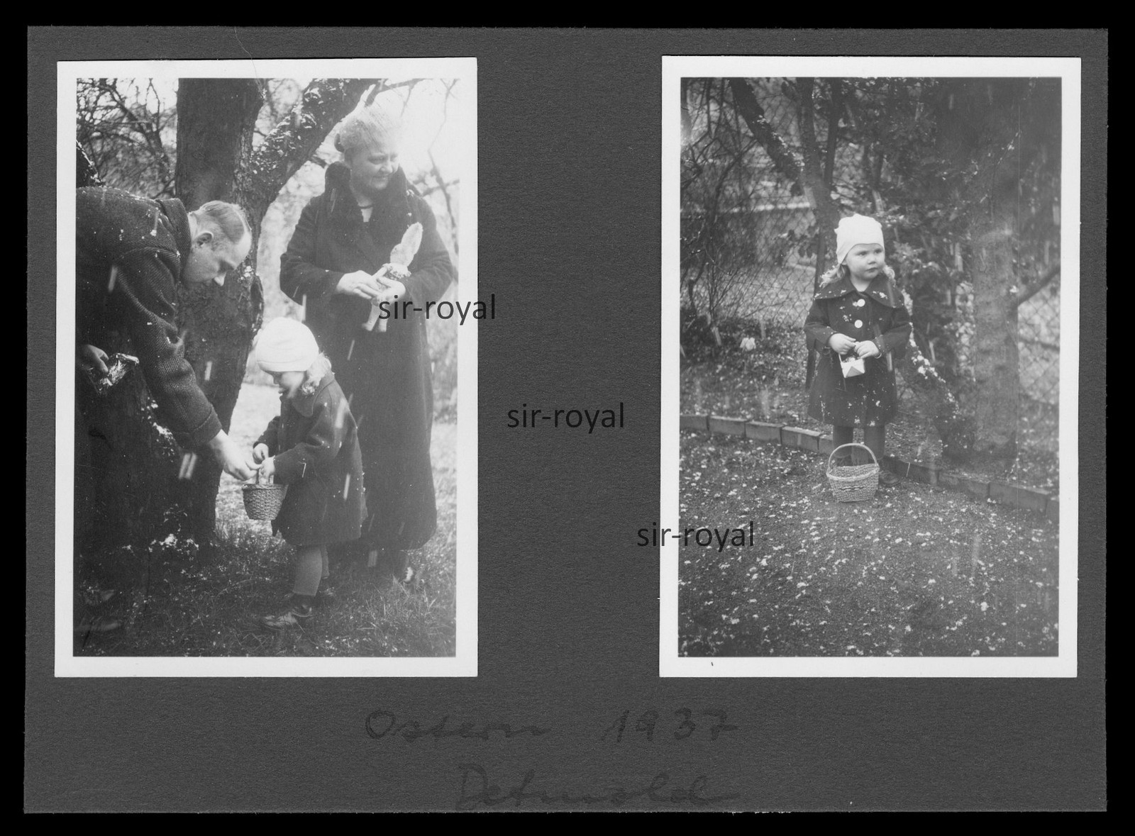 Detmold Easter 1937 – Girl looking for Easter eggs – 1930s – Photo 16x12cm