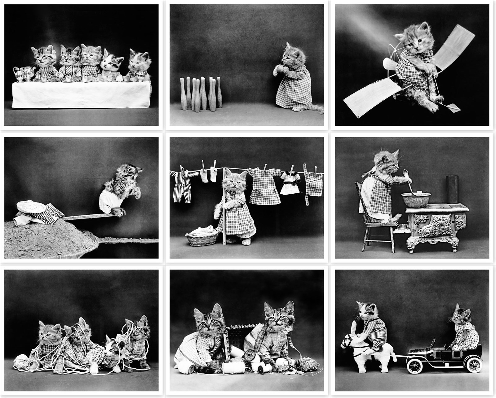 Anthropomorphic Dressed Up Cats Kittens In Human Situations Set Of 22 Photos