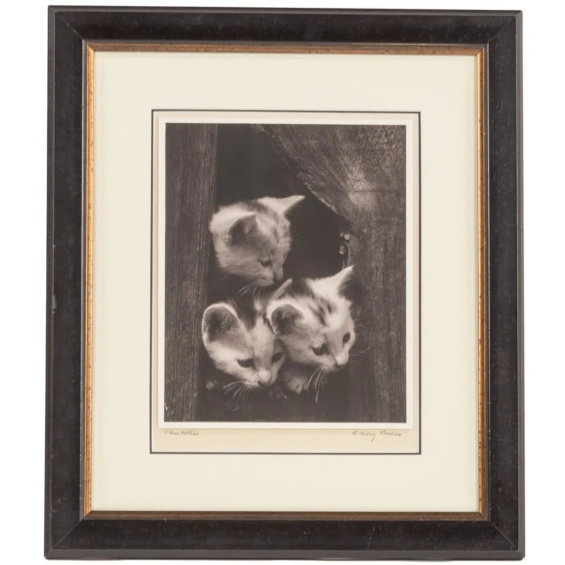 A. Aubrey Bodine American Silver Gelatin Photo Exhibited Maryland Baltimore