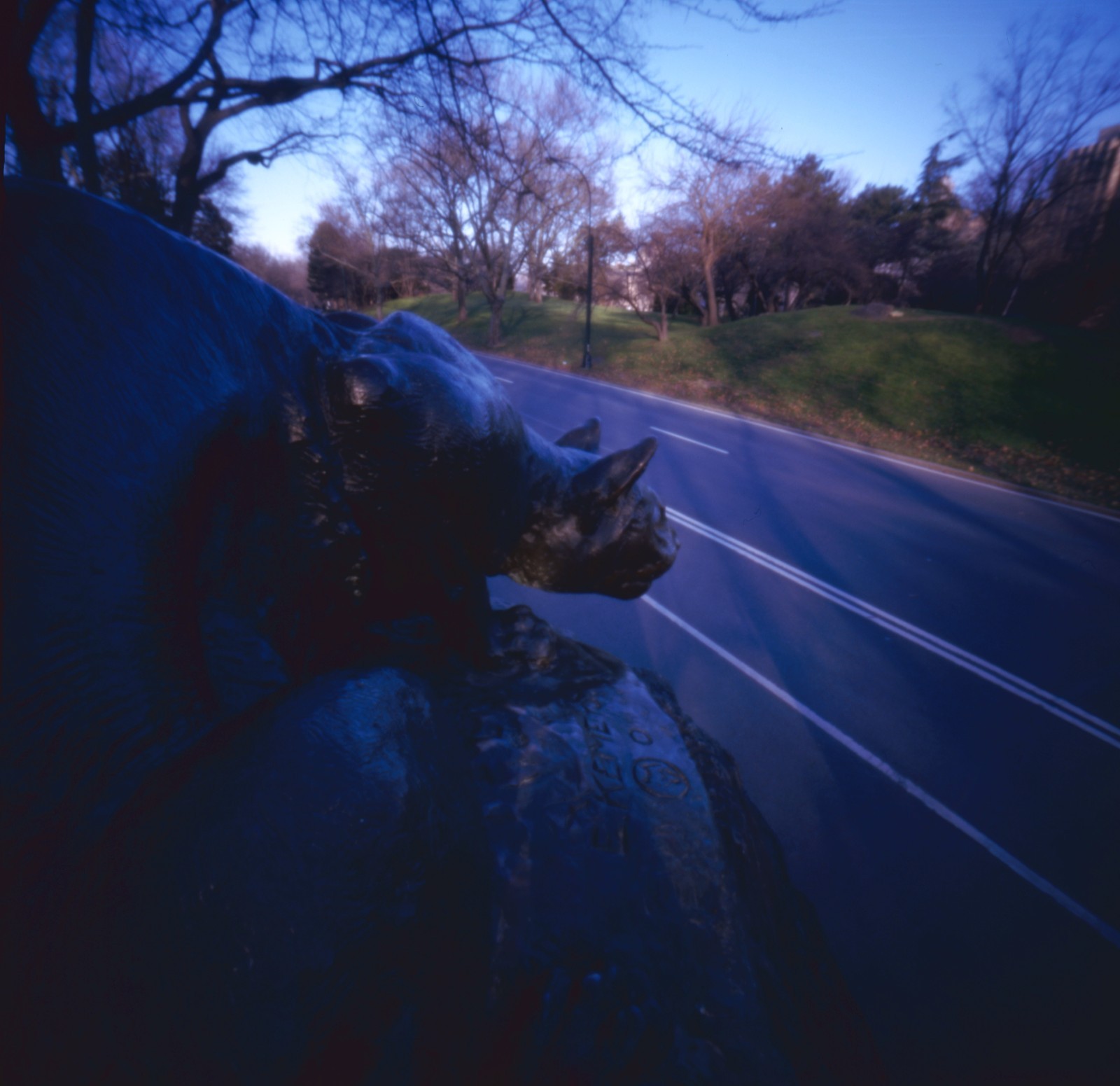 Still Hunt Central Park Panther Statue Original Pinhole Photograph Archival
