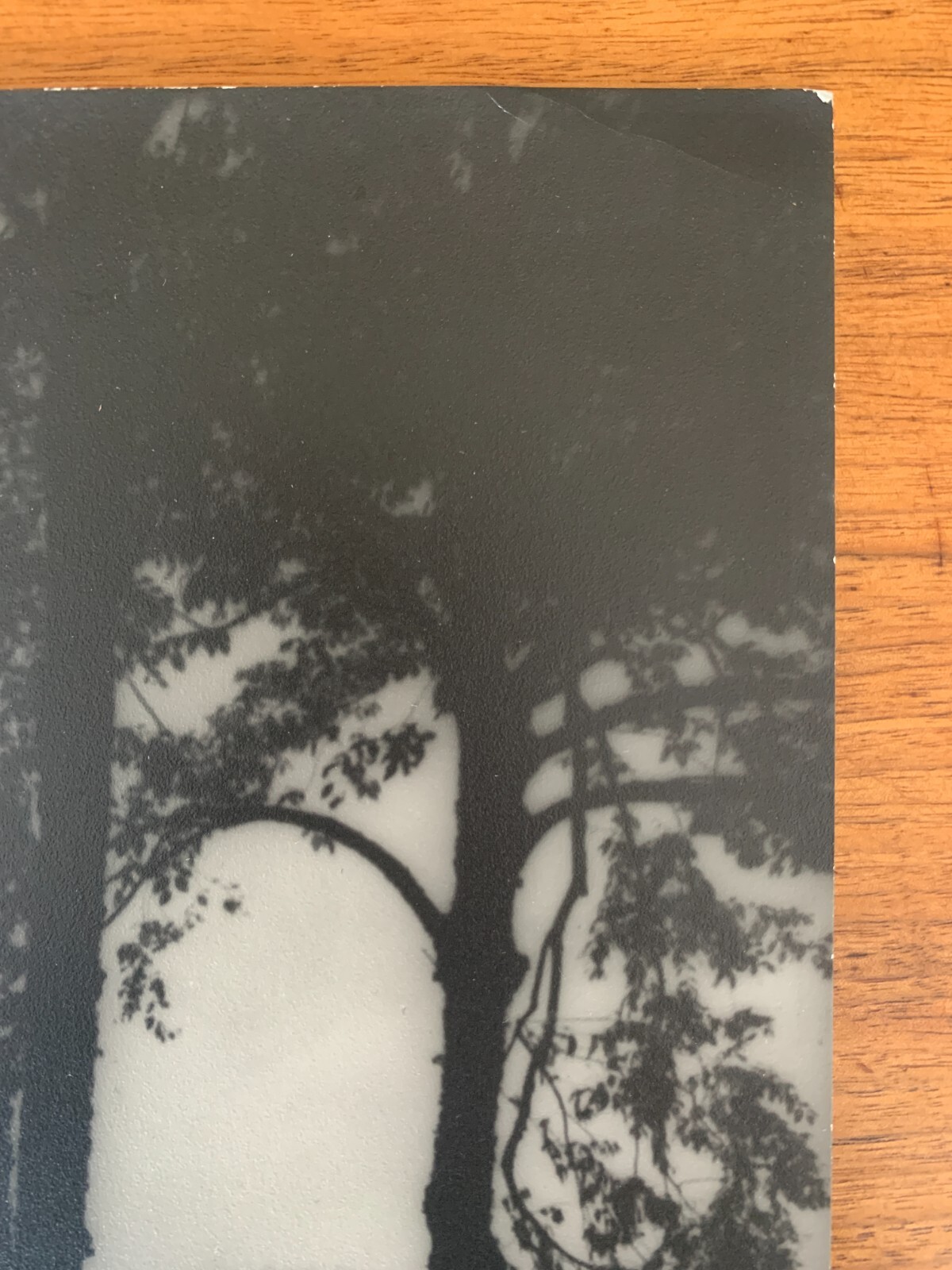 Eleanor Parke Custis c1930s Bromide Photograph of Berkshires, Massachusetts