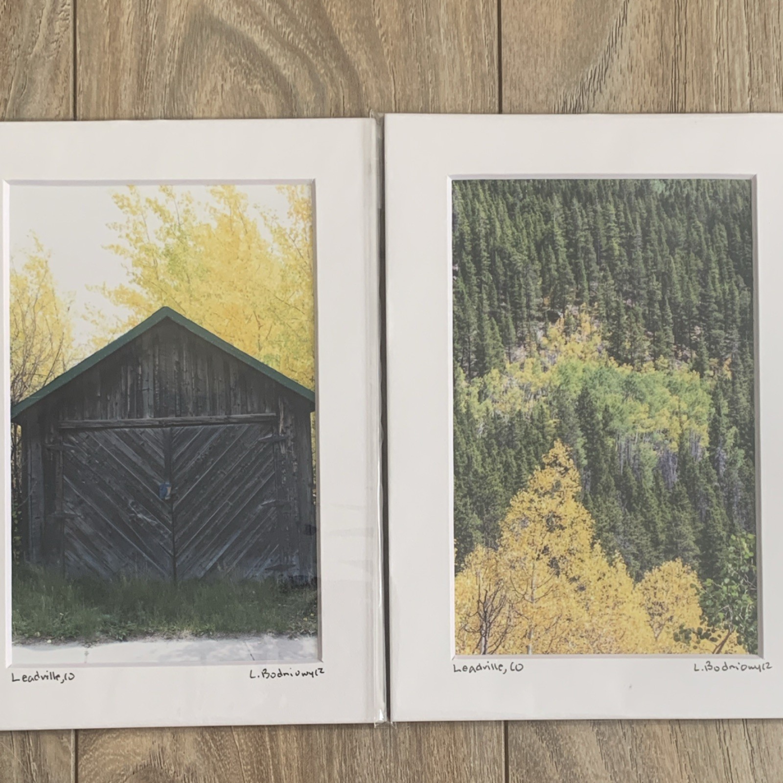 Set of Two Leadville Colorado Photo Prints – Matted – Barn Fall Colors Decor