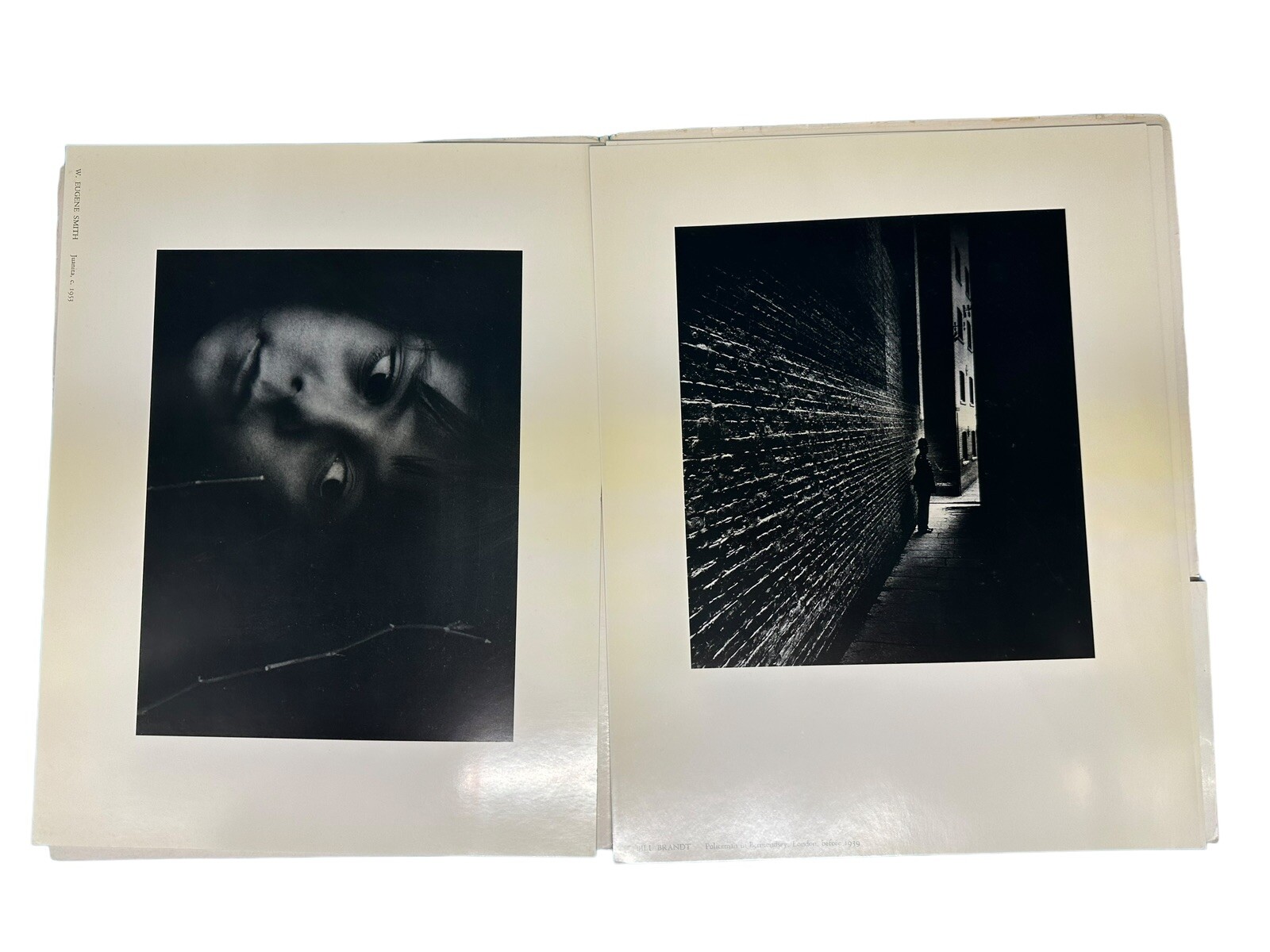 Persistence of Beauty Portfolio 1 The Friends of Photography / JLG