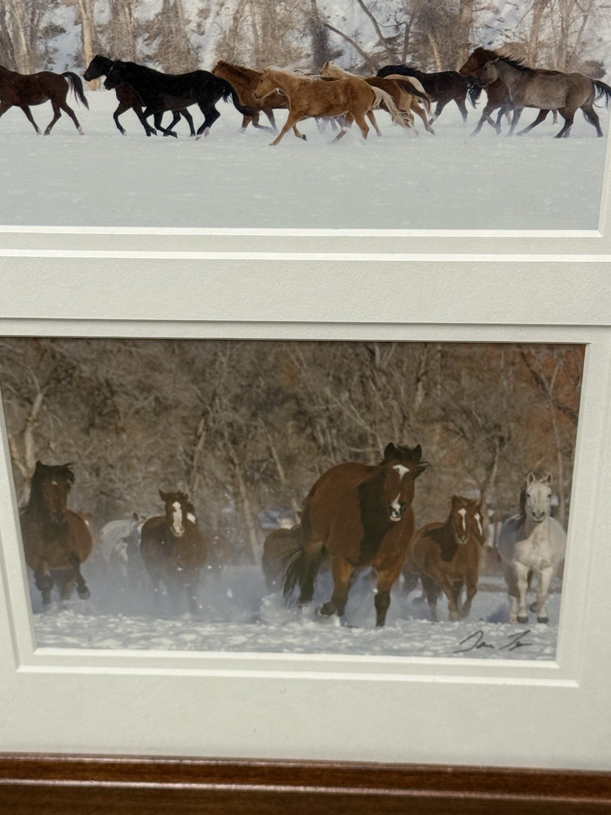 Tri Photo Horse Themed Piece In Wood Frame Signed