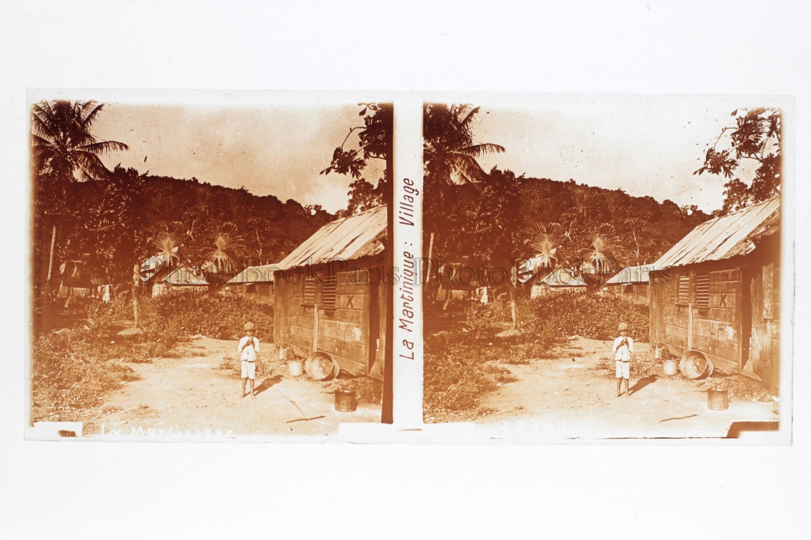 Martinique Village France Platter Glass STEREO Positive 6x13cm Vintage