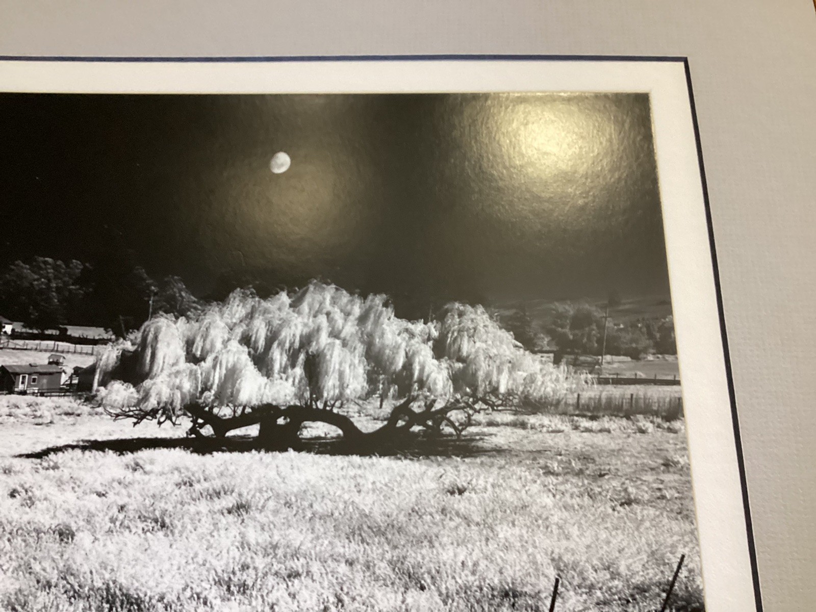 Bob Werling Signed #25 Farm & Moon Black & White Framed Decorator Edition Print