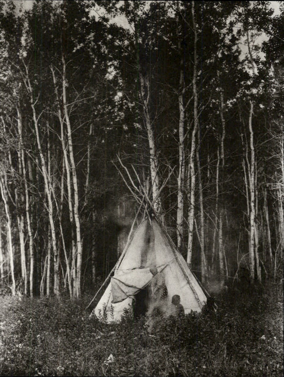 1972 Original Edward Curtis Chippewa Indian Teepee ASPEN Trees Art Photo Gravure