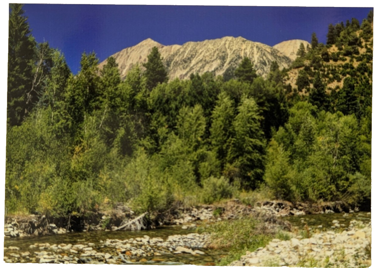 ACEO 4-pack Photographs, Mountains Trees Grass Seasons, River,CurvedTree, Color