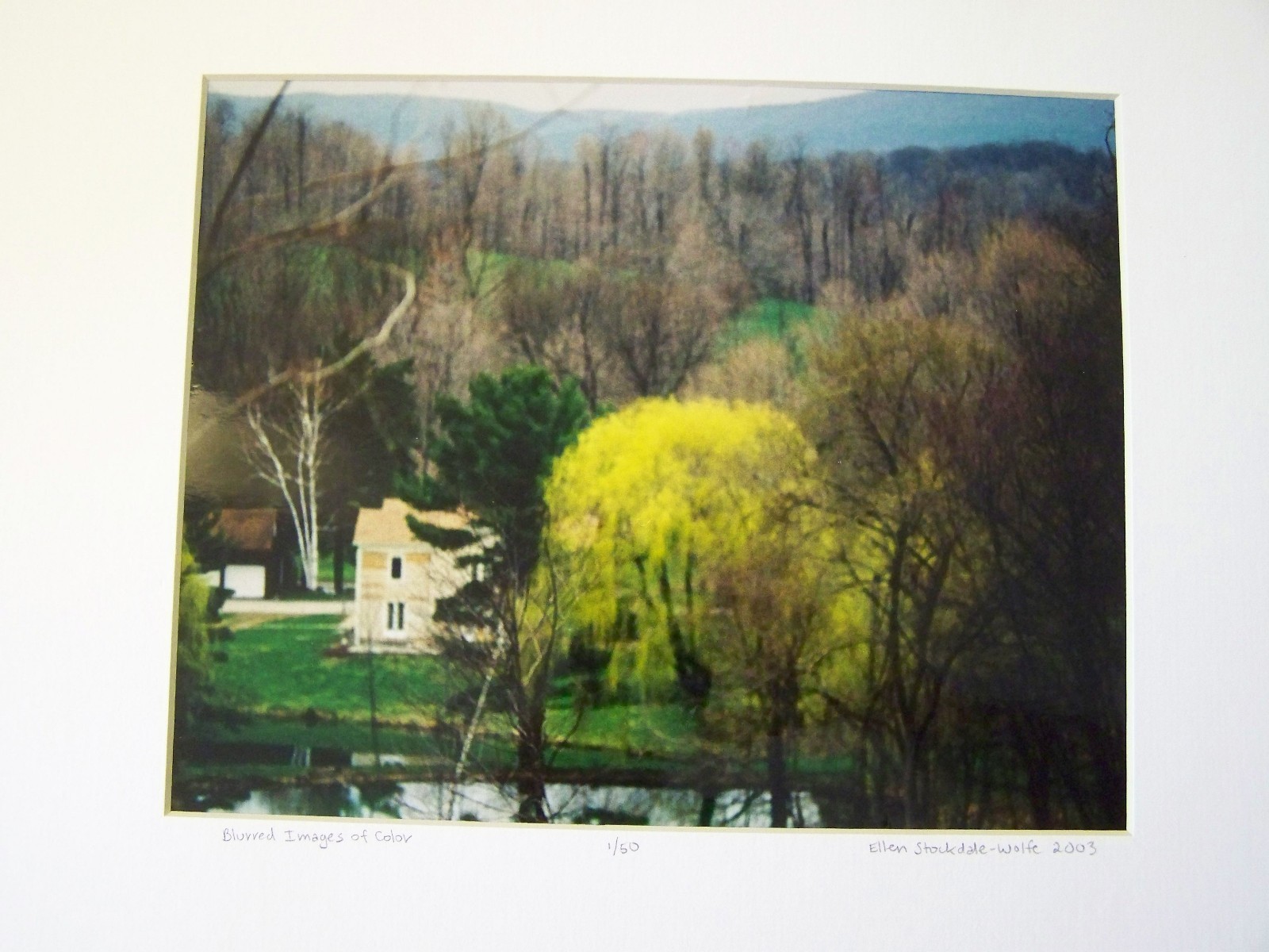 FINE ART PHOTOGRAPH BLURRED IMAGES OF COLOR ELLEN STOCKDALE-WOLFE ARTIST 1 OF 50