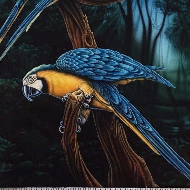 Tangher, Neeley-2 Macaws-Birds-Art for Sale